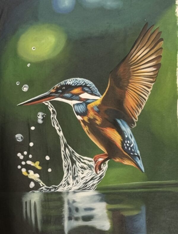 King fisher